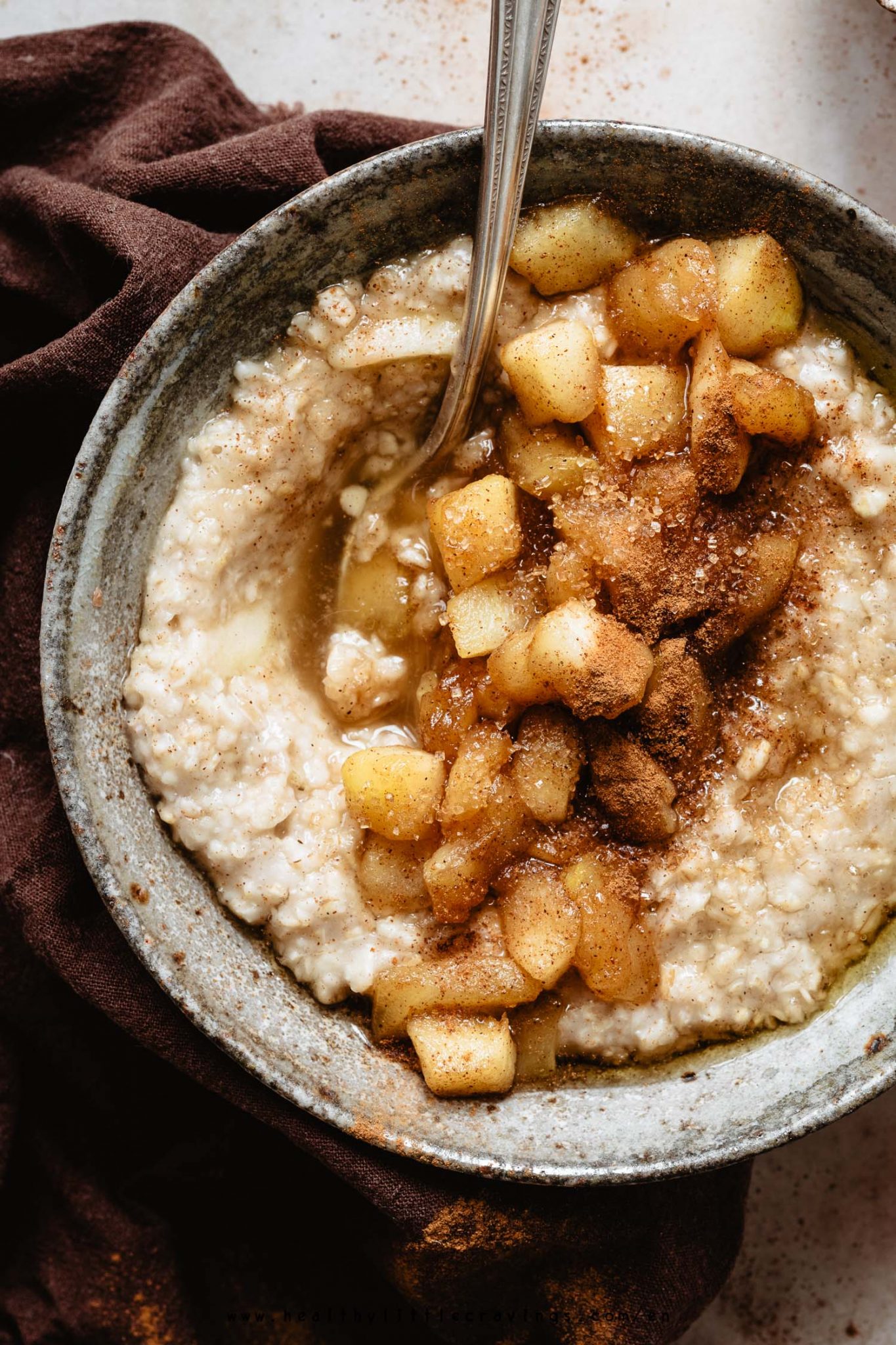 Creamy Cinnamon Apple Oatmeal / Vegan