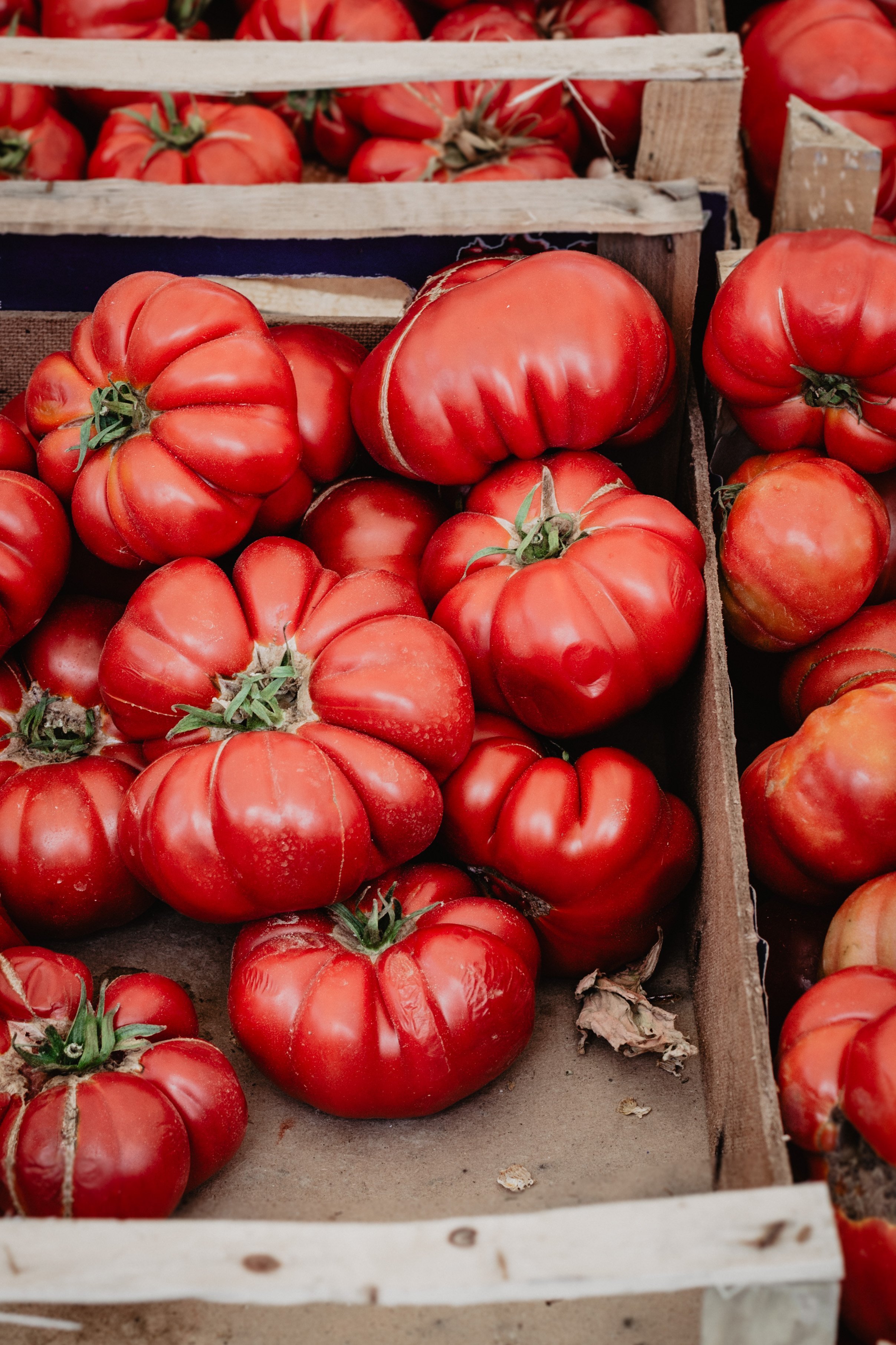 sicilian tomatoes