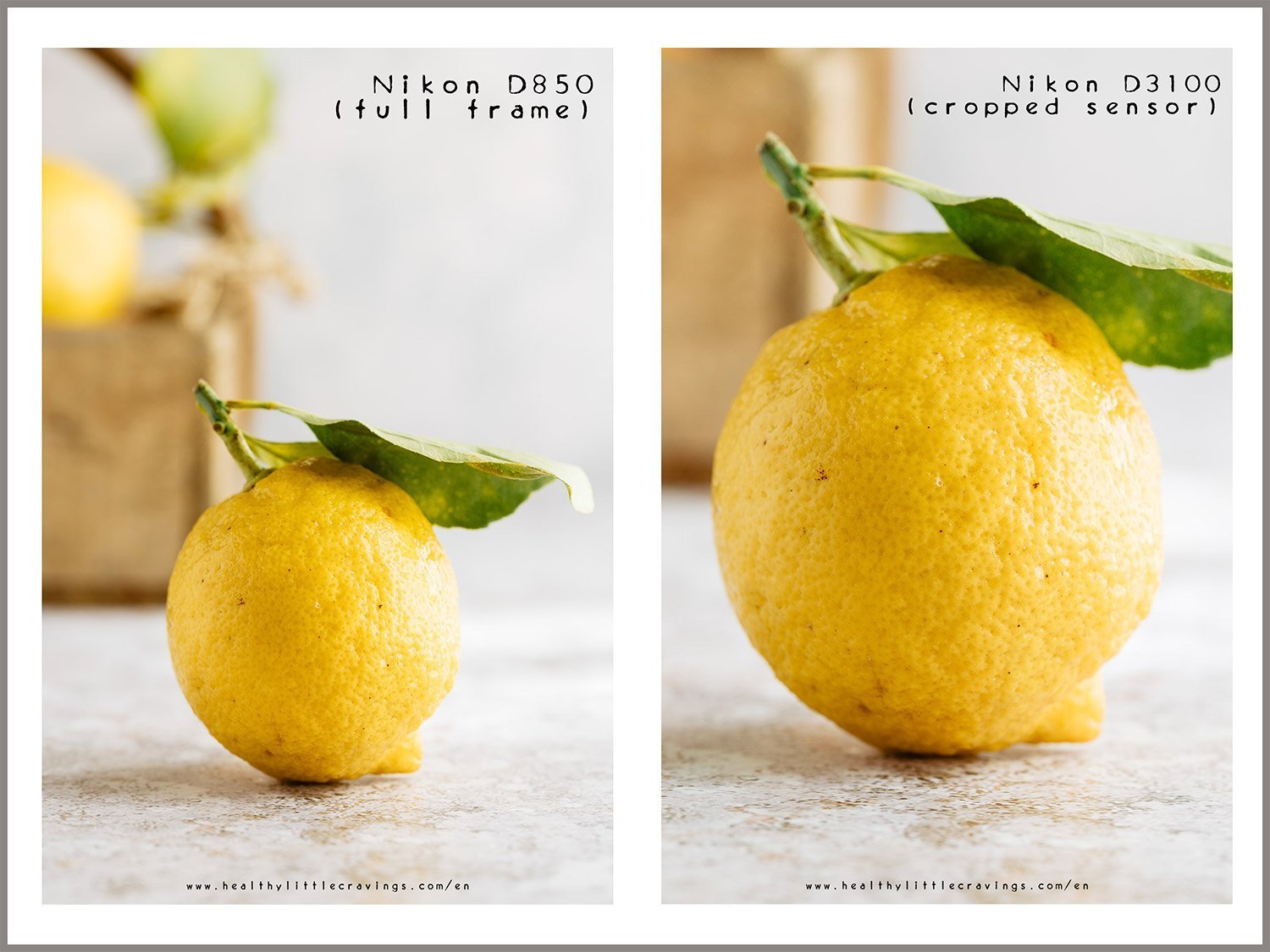 A post that explains why the 105 mm 2.8 is the best food photography lens This post will explain why YOU should invest in it! 